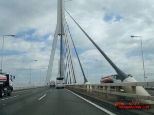 thekumachan_Japan-5