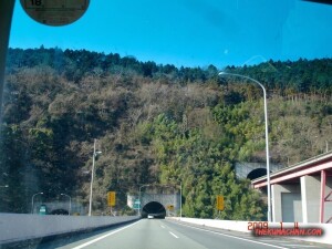 thekumachan_Japan-6