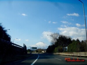 thekumachan_Japan-7