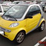 thekumachan_Japan-8