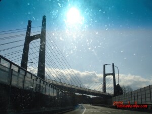thekumachan_Japan-8