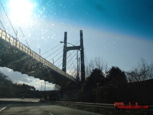 thekumachan_Japan-9