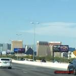 thekumachan_Las_Vegas_Nevada-10