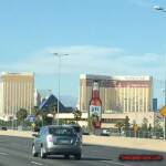 thekumachan_Las_Vegas_Nevada-12