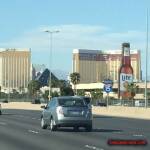 thekumachan_Las_Vegas_Nevada-13