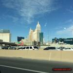 thekumachan_Las_Vegas_Nevada-19