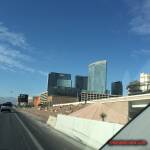 thekumachan_Las_Vegas_Nevada-20