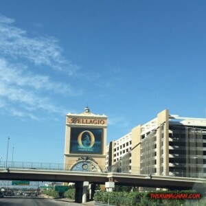 thekumachan_Las_Vegas_Nevada-22