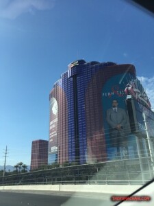 thekumachan_Las_Vegas_Nevada-23