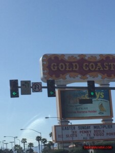 thekumachan_Las_Vegas_Nevada-24