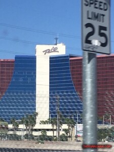 thekumachan_Las_Vegas_Nevada-26