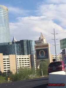 thekumachan_Las_Vegas_Nevada-27