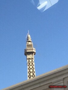 thekumachan_Las_Vegas_Nevada-28