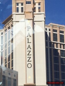 thekumachan_Las_Vegas_Nevada-36