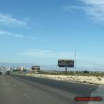 thekumachan_Las_Vegas_Nevada-4