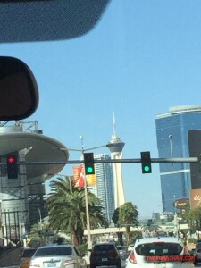 thekumachan_Las_Vegas_Nevada-40