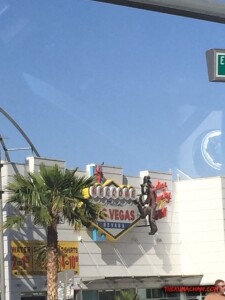 thekumachan_Las_Vegas_Nevada-43