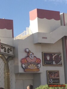 thekumachan_Las_Vegas_Nevada-45
