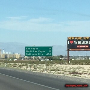 thekumachan_Las_Vegas_Nevada-5