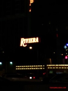 thekumachan_Las_Vegas_Nevada-55