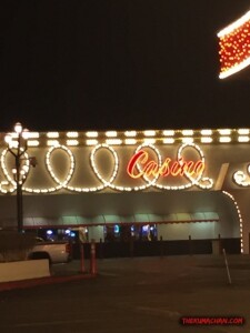 thekumachan_Las_Vegas_Nevada-56