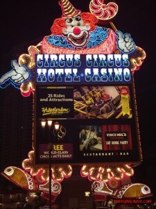thekumachan_Las_Vegas_Nevada-57