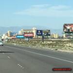 thekumachan_Las_Vegas_Nevada-6