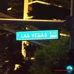 thekumachan_Las_Vegas_Nevada-63