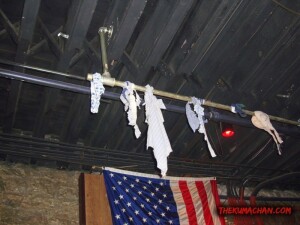 thekumachan_Nashville_TN-11