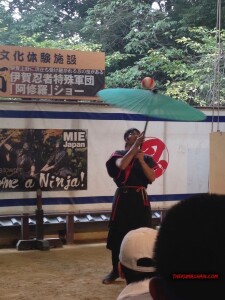 thekumachan_Ninja_show_Mie_Japan-4