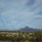 thekumachan_Phoenix_AZ-Temecula_CA-10