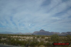 thekumachan_Phoenix_AZ-Temecula_CA-10