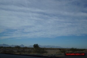 thekumachan_Phoenix_AZ-Temecula_CA-11