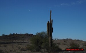 thekumachan_Phoenix_AZ-Temecula_CA-14