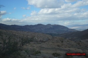 thekumachan_Phoenix_AZ-Temecula_CA-16