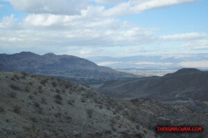 thekumachan_Phoenix_AZ-Temecula_CA-17