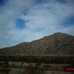 thekumachan_Phoenix_AZ-Temecula_CA-2