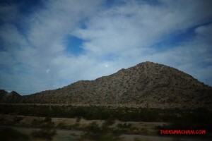 thekumachan_Phoenix_AZ-Temecula_CA-2