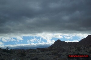 thekumachan_Phoenix_AZ-Temecula_CA-23
