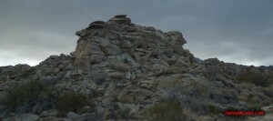 thekumachan_Phoenix_AZ-Temecula_CA-24