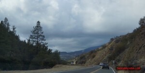 thekumachan_Phoenix_AZ-Temecula_CA-26