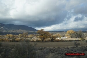 thekumachan_Phoenix_AZ-Temecula_CA-27
