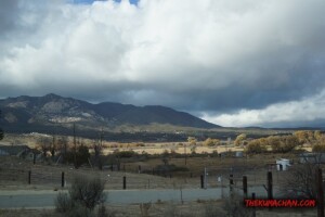 thekumachan_Phoenix_AZ-Temecula_CA-28