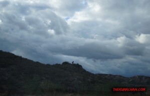 thekumachan_Phoenix_AZ-Temecula_CA-29