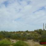 thekumachan_Phoenix_AZ-Temecula_CA-3