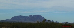 thekumachan_Phoenix_AZ-Temecula_CA-5