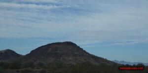 thekumachan_Phoenix_AZ-Temecula_CA-6