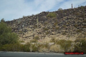 thekumachan_Phoenix_AZ-Temecula_CA-8