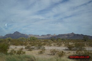 thekumachan_Phoenix_AZ-Temecula_CA-9