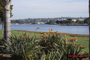 thekumachan_San_Diego_California-009